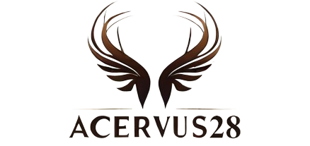 acervus28.com